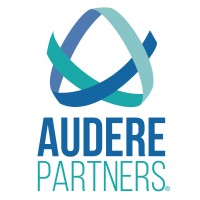 Audere Partners Logo li
